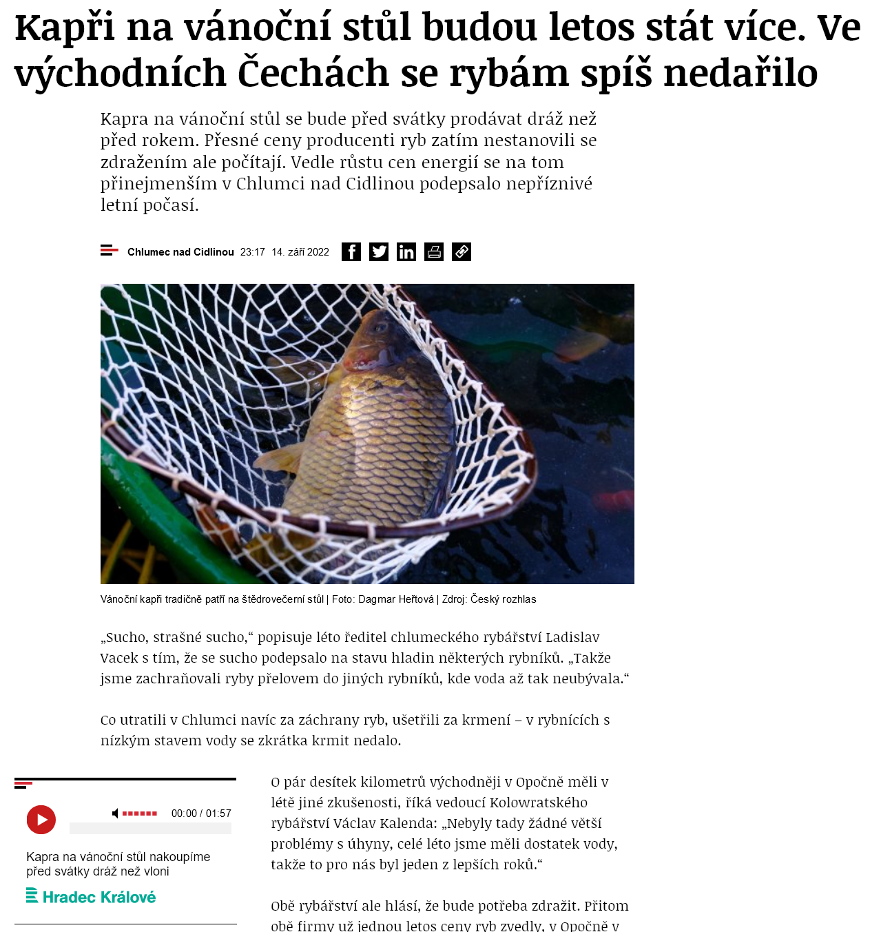 Kapři na vánoční stůl budou letos stát více. Ve východních Čechách se rybám spíš nedařilo